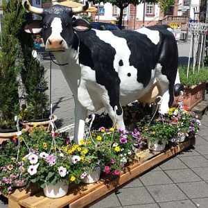 Archiv - zur Zeit nicht lieferbar