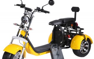 E Roller Trike edinger Lampertheim