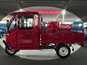 Cargo Muli Cargo Runner geschlossene Kabine