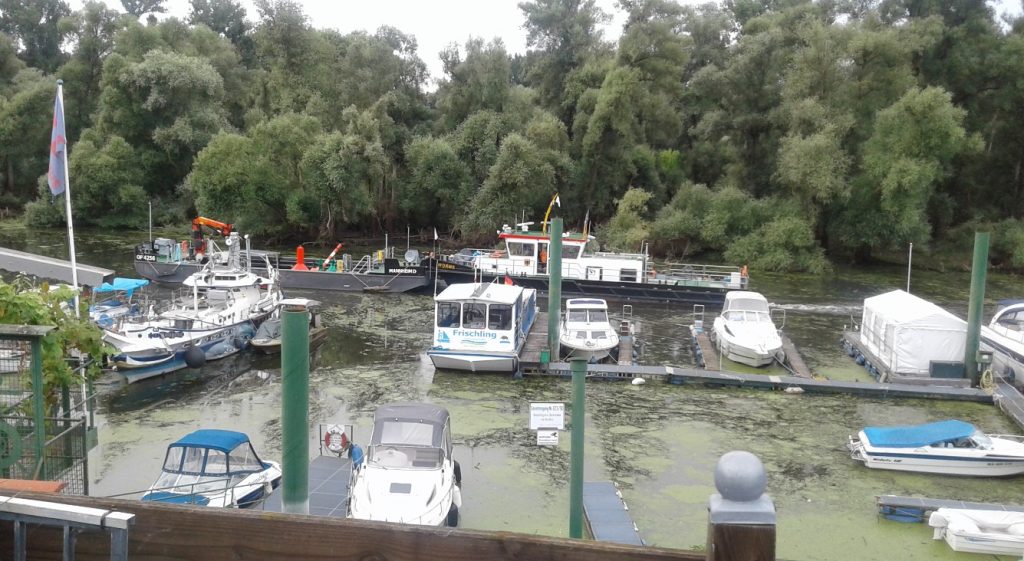 Das WSA arbeitet im Lampertheimer Altrhein