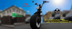 edimove Elektroscooter_1200L_1